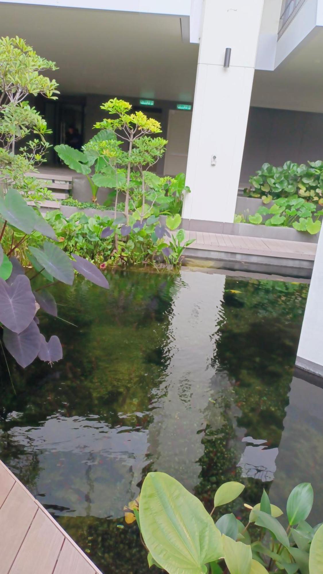 Pangsapuri Lucantia Serviced